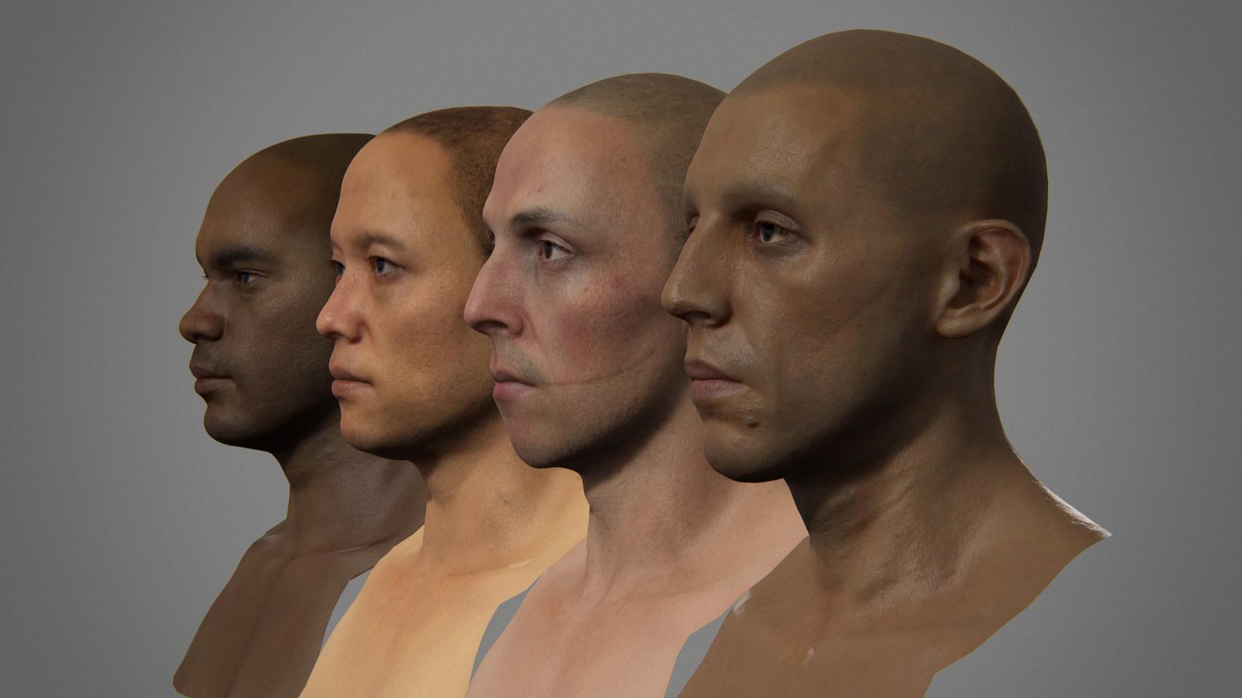 Skin — study 6